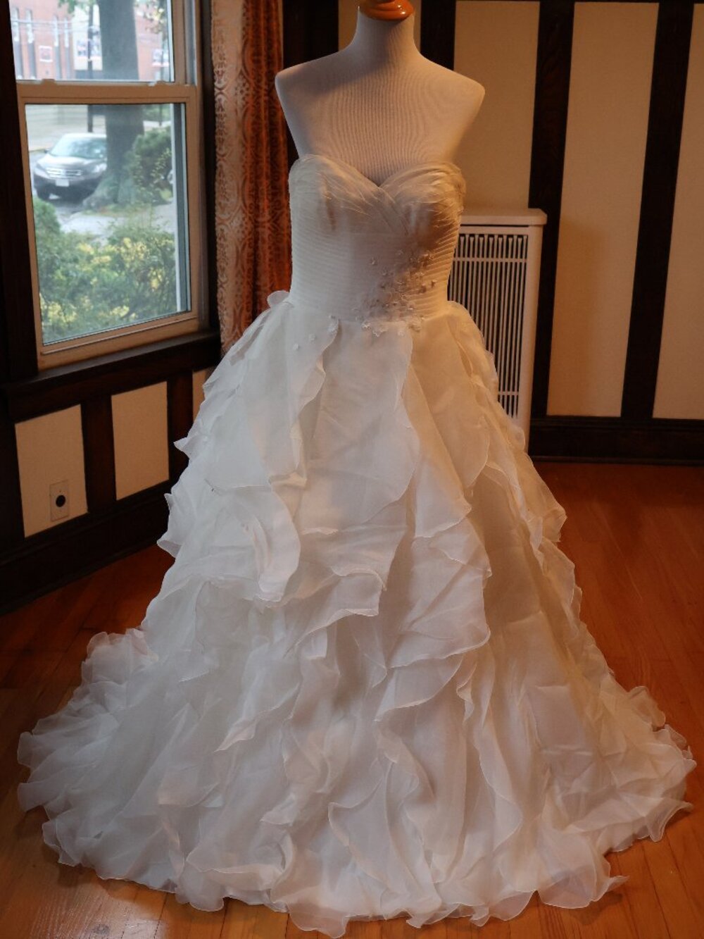 Pronovias Wedding Dress